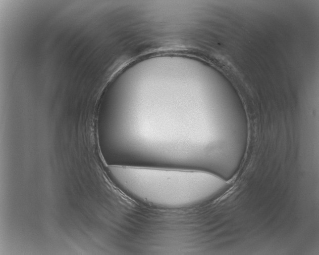 X0000060561409200511030906