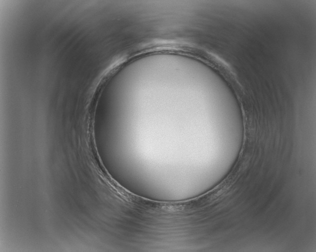 X0000060561411200511030906