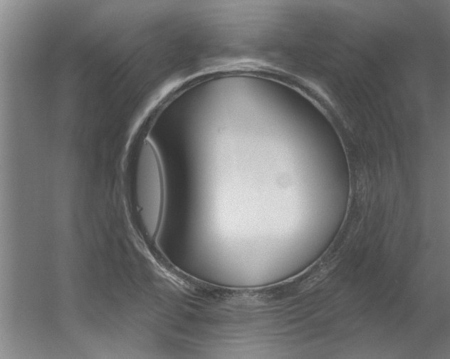 X0000060561414200511030906
