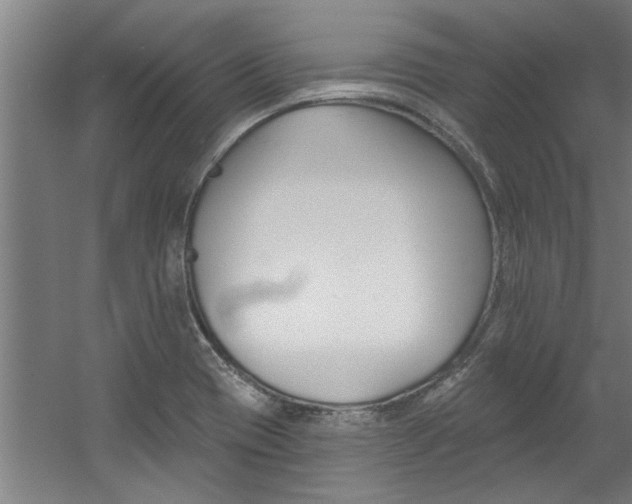 X0000060561417200511030906