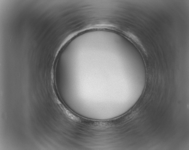X0000060561420200511030906