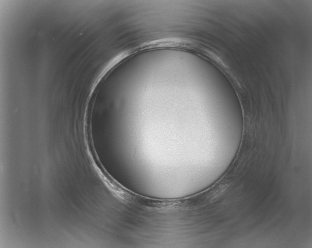 X0000060561426200511030906