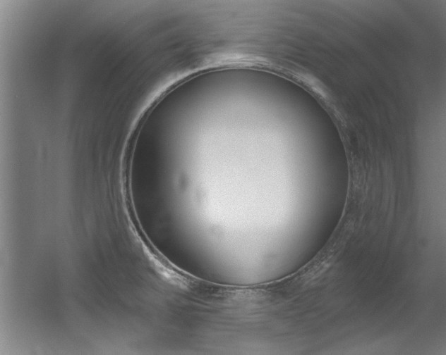 X0000060561430200511030906