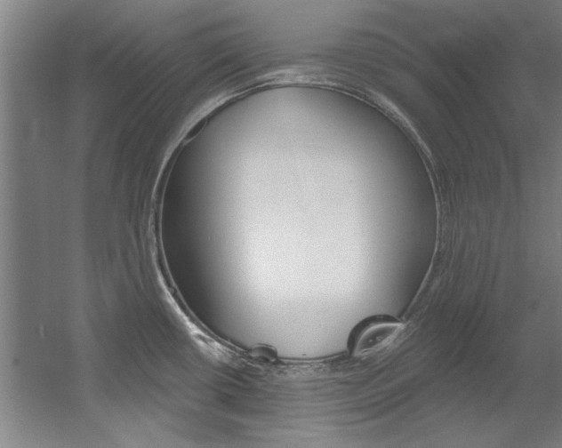 X0000060561434200511030906
