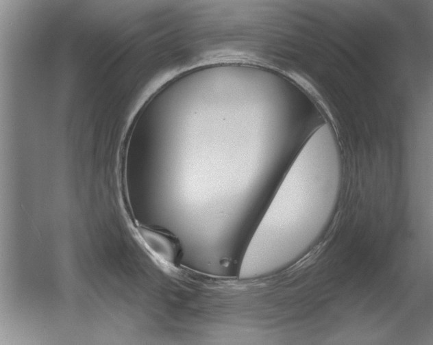 X0000060561438200511030906