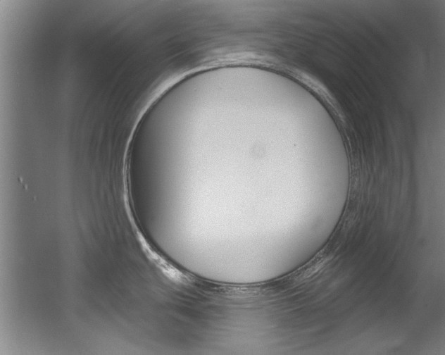 X0000060561439200511030906