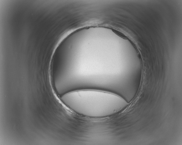 X0000060561440200511030907