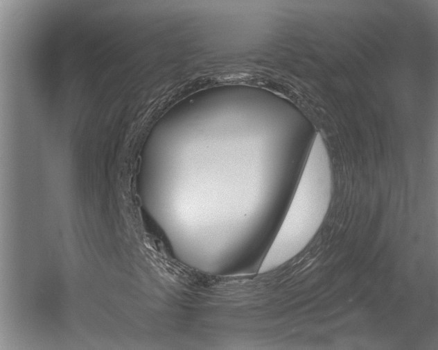 X0000060561441200511030906