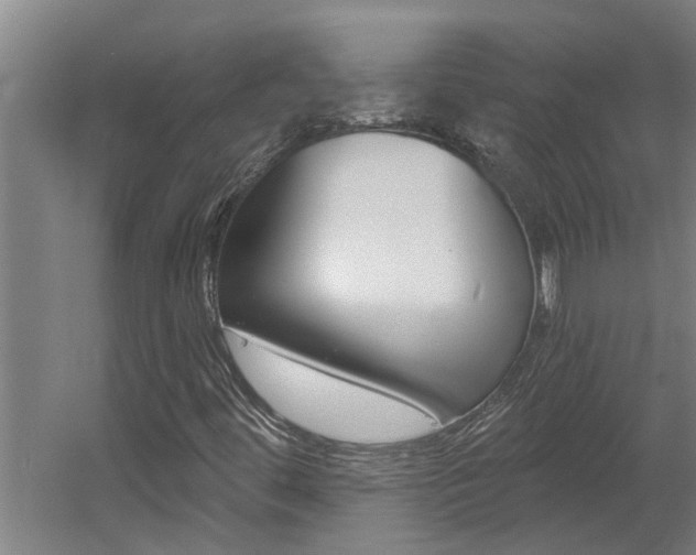 X0000060561444200511030906