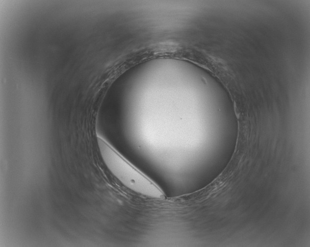 X0000060561445200511030906