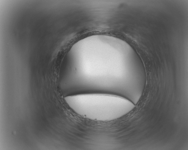 X0000060561447200511030906