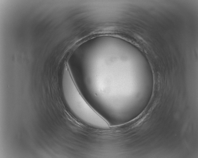X0000060561449200511030906