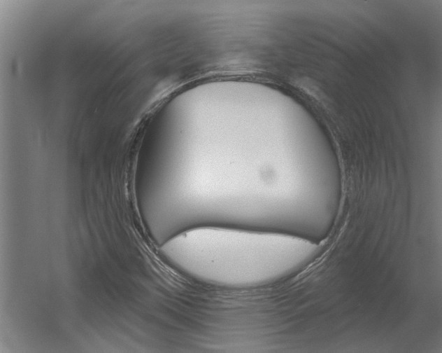 X0000060561451200511030906