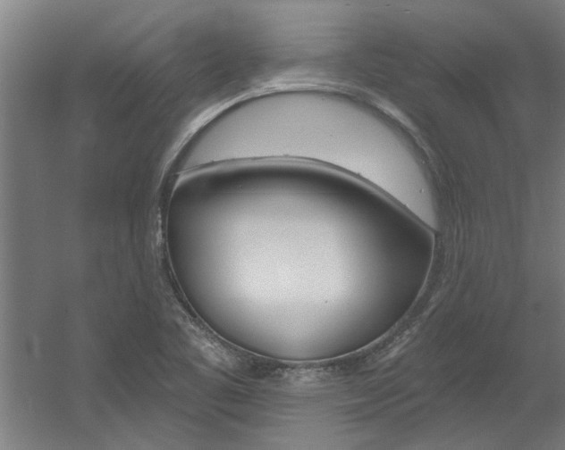 X0000060561461200511030905