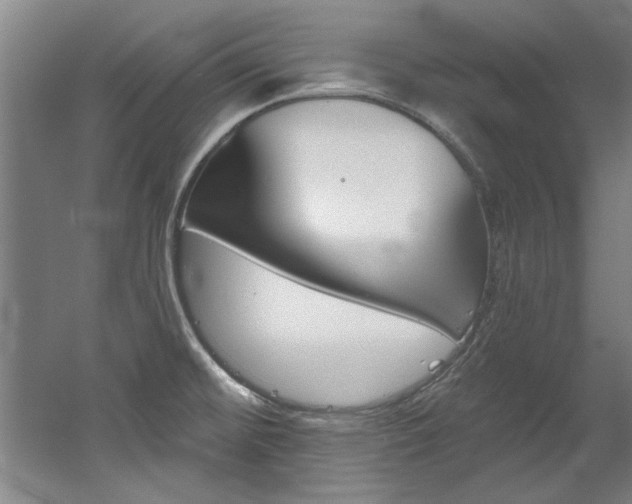 X0000060561476200511030905