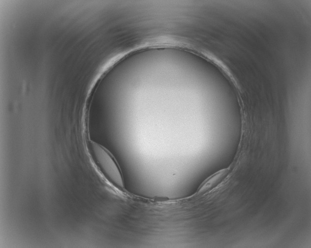 X0000060561477200511030905