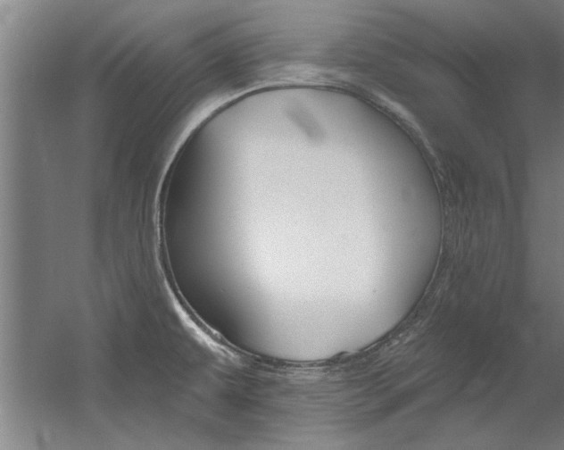 X0000060561479200511030905