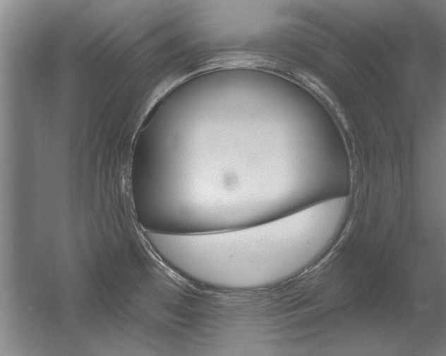 X0000060561481200511030905