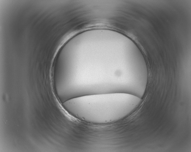 X0000060561482200511030905