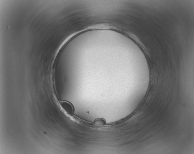 X0000060561484200511030905