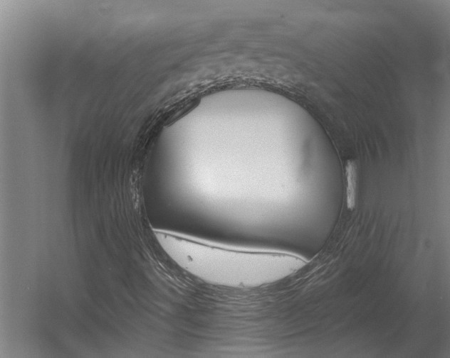 X0000060561491200511030904