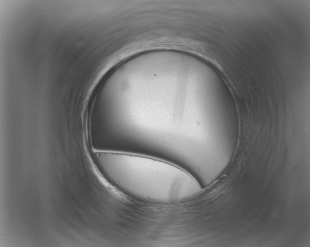 X0000060561515200511030905