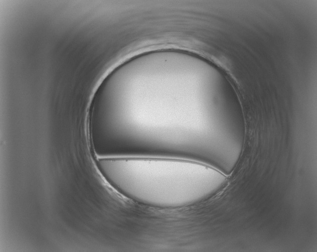 X0000060561516200511030905