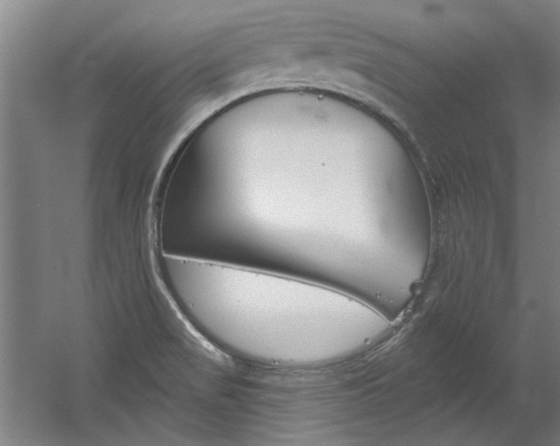 X0000060561517200511030905