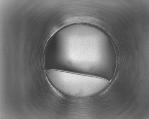 X0000060561521200511030905