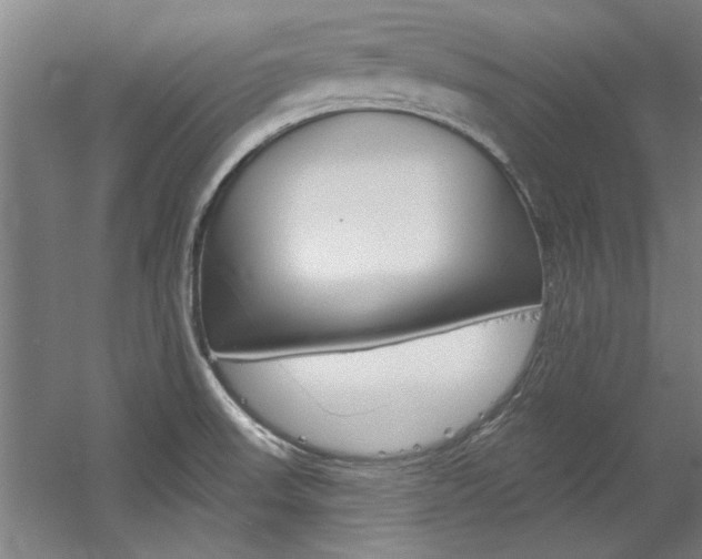 X0000060561523200511030905