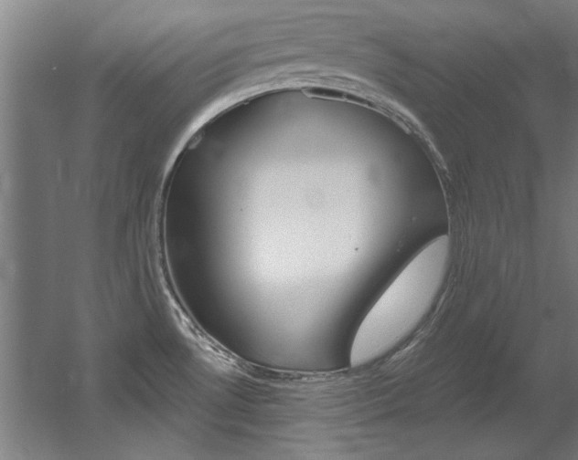 X0000060561530200511030905