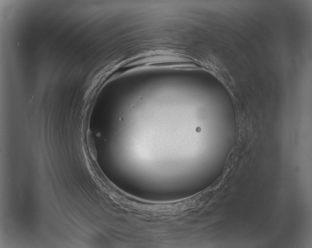 X0000060560001200511031255