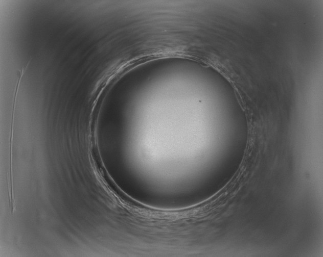 X0000060560002200511031255