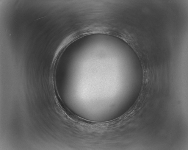 X0000060560004200511031255