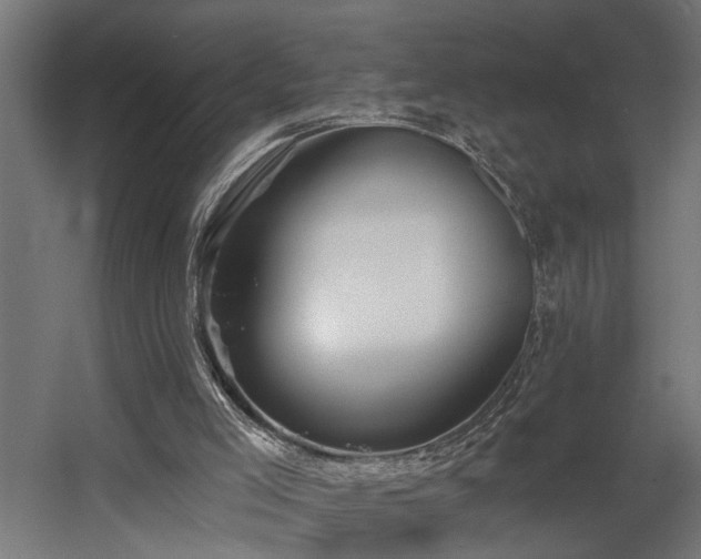 X0000060560005200511031255