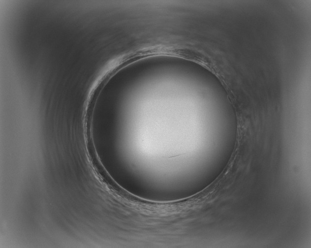 X0000060560006200511031255