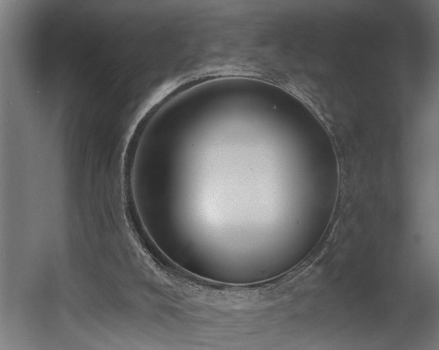 X0000060560008200511031255