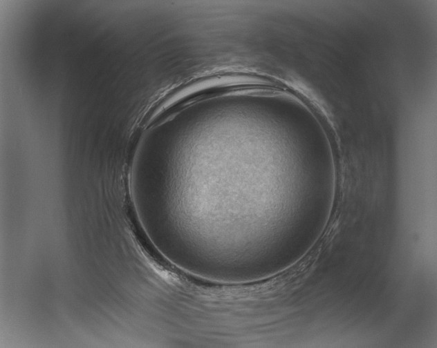 X0000060560009200511031255