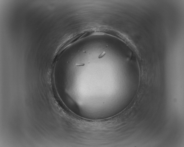 X0000060560010200511031255