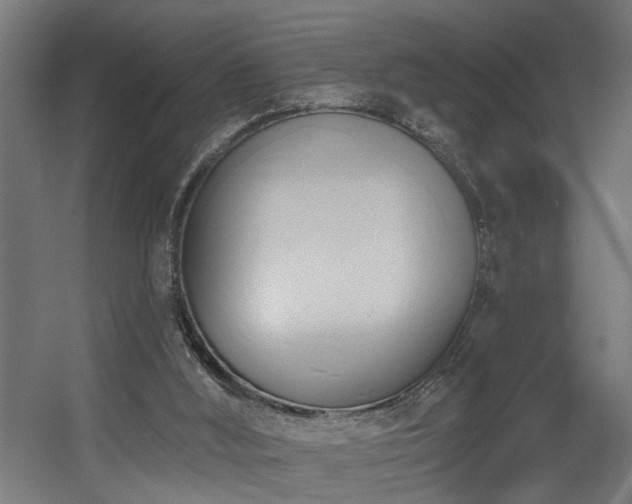 X0000060560012200511031255