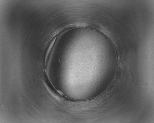 X0000060560013200511031255