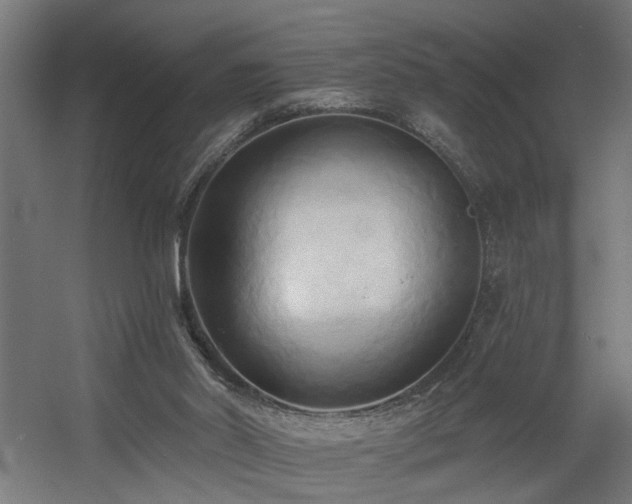 X0000060560014200511031255