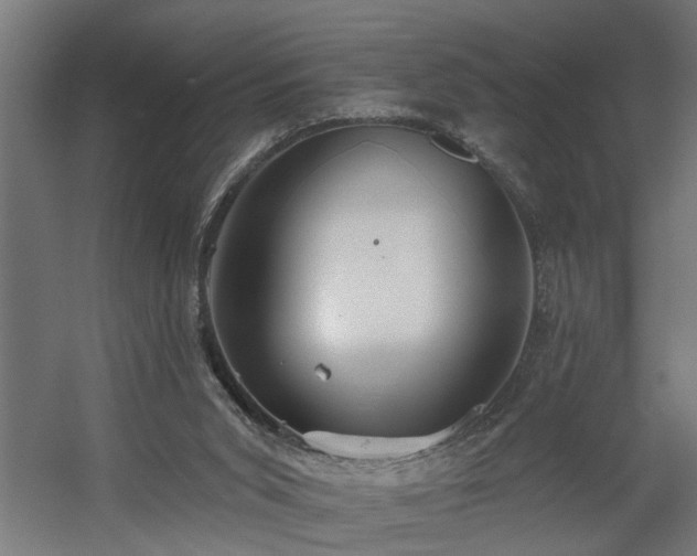 X0000060560015200511031255