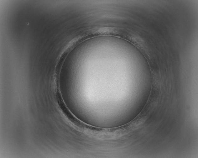 X0000060560016200511031255