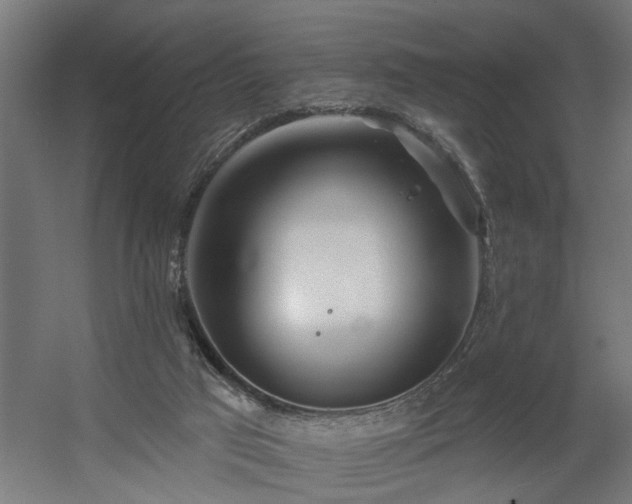 X0000060560017200511031255