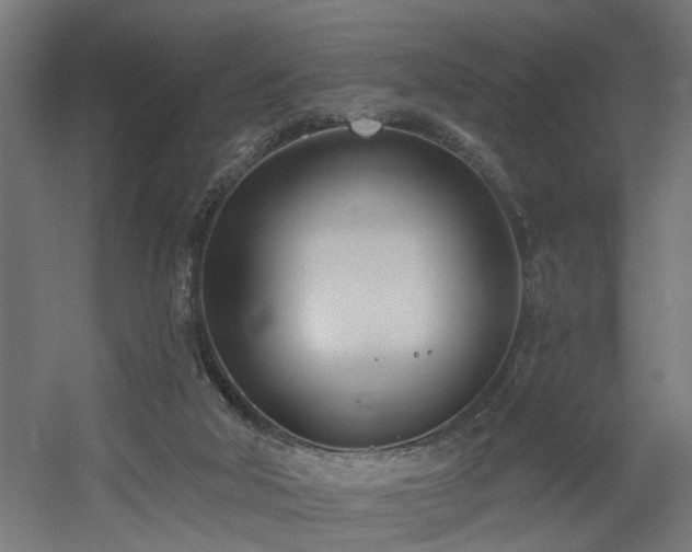 X0000060560018200511031255