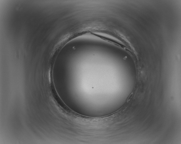 X0000060560019200511031255