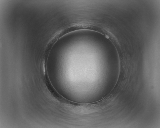 X0000060560020200511031255