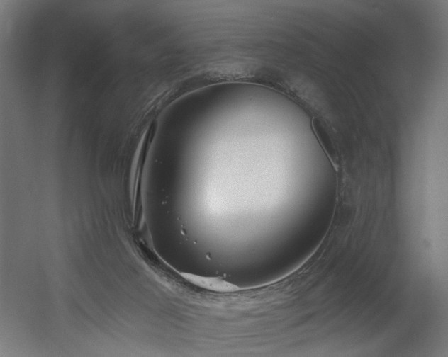 X0000060560021200511031255