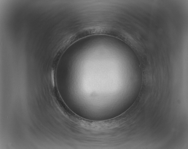 X0000060560022200511031255